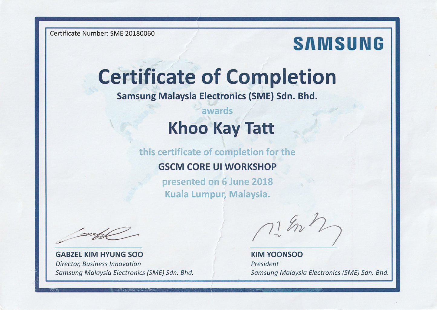 Kaye Consulting Service (High End Technology and Data) Solution